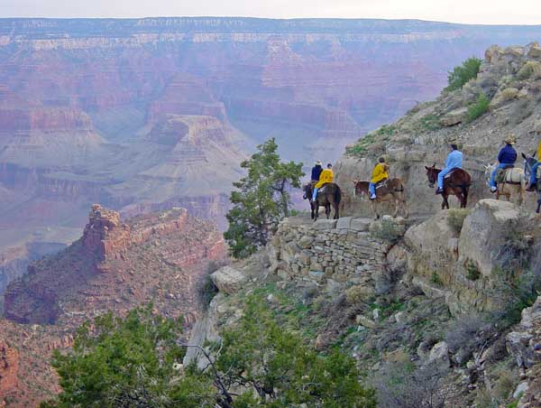grand canyon horseback riding
