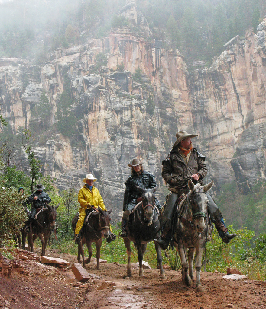 grand canyon mule ride