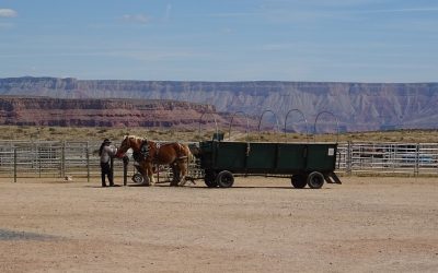 Hualapai Village – The Highlight of Grand Canyon West