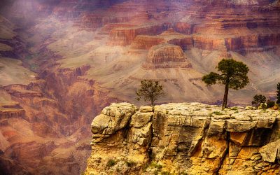 Grand Canyon Rim to Rim Travel Guide